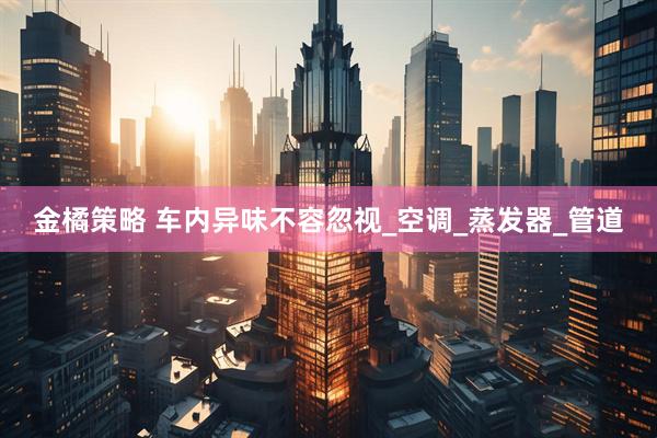 金橘策略 车内异味不容忽视_空调_蒸发器_管道