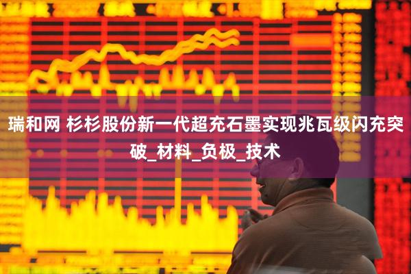 瑞和网 杉杉股份新一代超充石墨实现兆瓦级闪充突破_材料_负极_技术