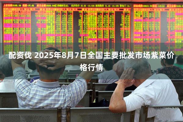 配资伐 2025年8月7日全国主要批发市场紫菜价格行情
