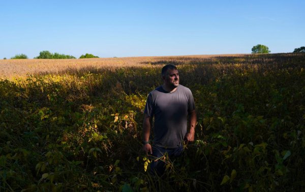 苏州恒泰配资 收获季，中国订单至今为零，美国豆农感受痛苦